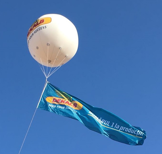 Steag albastru cu emblema Dekalb și mesajul 'Numărul 1 la producții' flutură legat de sfoara unui balon alb Dekalb care plutește pe cerul senin