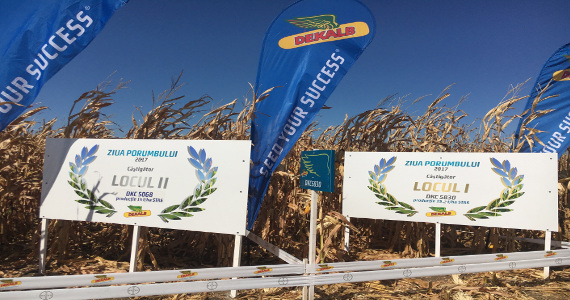 Pancarte cu numele semințelor DKC 5068 și DKC 5830 plasate în fața terenurilor de porumb câștigătore de Ziua Porumbului din 2017